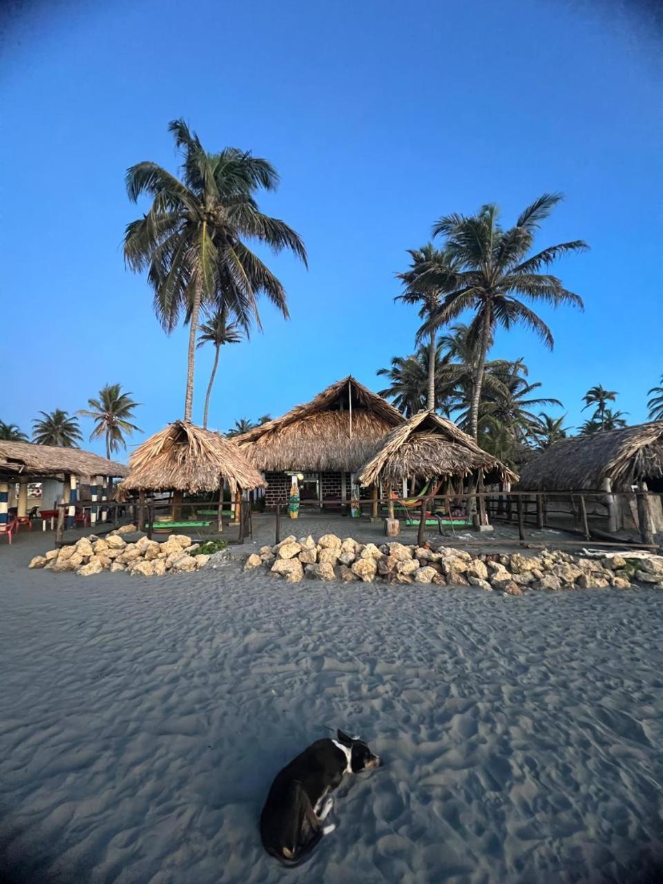 Отель Antara Del Mar Сан-Бернардо-дель-Вьенто Экстерьер фото